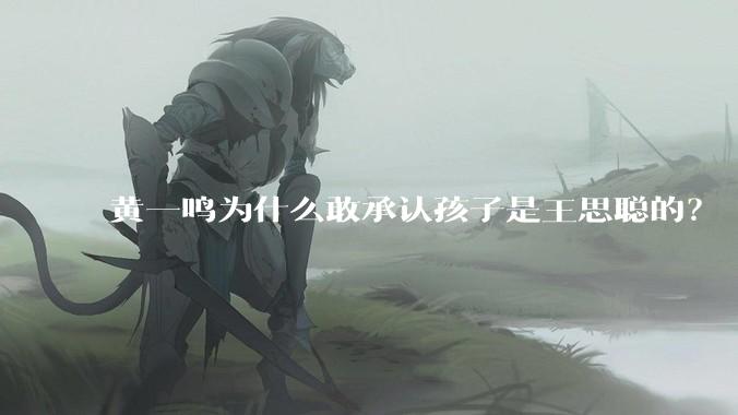 黄一鸣为什么敢承认孩子是王思聪的？
